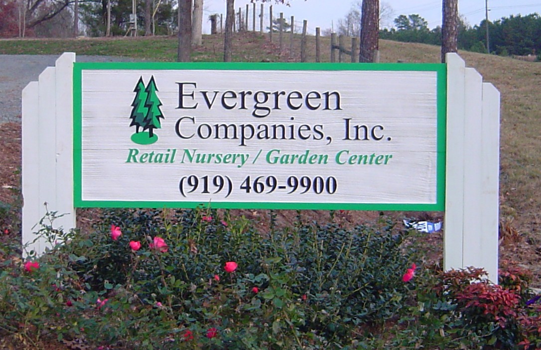 Evergreen%20028.jpg